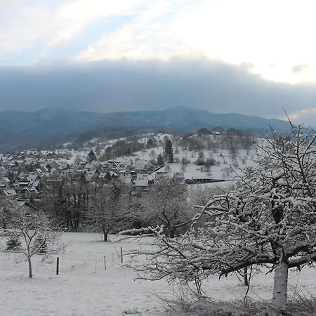 Brack In Gaggenau