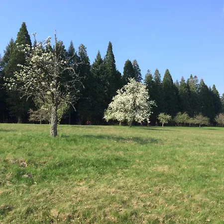 Brack In Gaggenau, Mit Klimaanlage Apartmán *