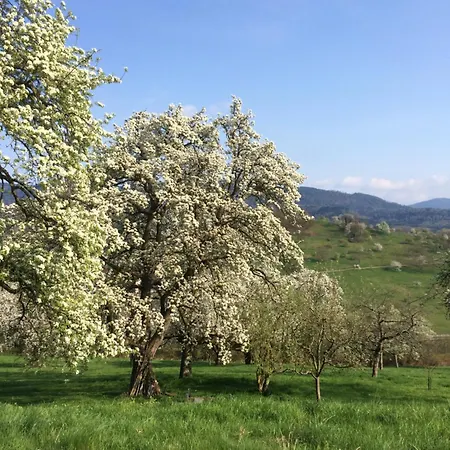 Apartmán Brack In Gaggenau, Mit Klimaanlage *