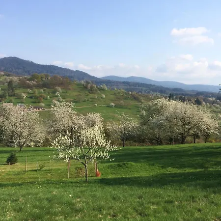 Apartmán Brack In Gaggenau, Mit Klimaanlage