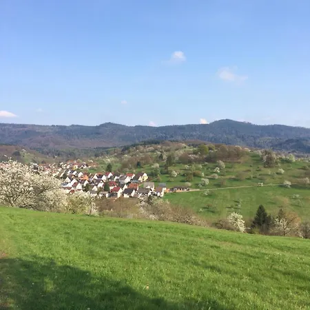 Apartmán Brack In Gaggenau, Mit Klimaanlage *