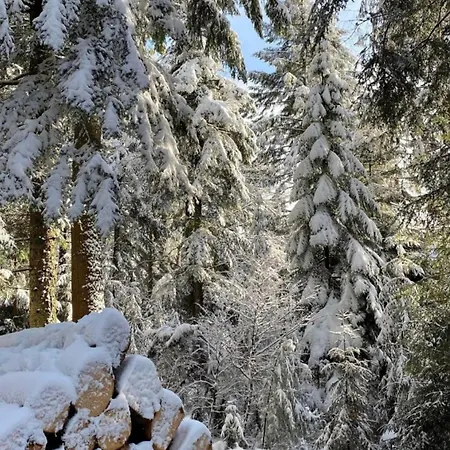 Apartmán Brack In Gaggenau, Mit Klimaanlage *