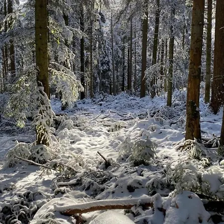 Brack In Gaggenau, Mit Klimaanlage Apartmán *