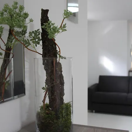 Brack In Gaggenau, Mit Klimaanlage Gaggenau