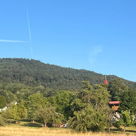 Brack In Gaggenau, Mit Klimaanlage Apartmán Gaggenau