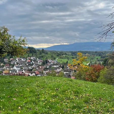 Apartmán Brack In Gaggenau, Mit Klimaanlage *