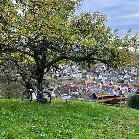 Apartmán Brack In Gaggenau, Mit Klimaanlage Gaggenau